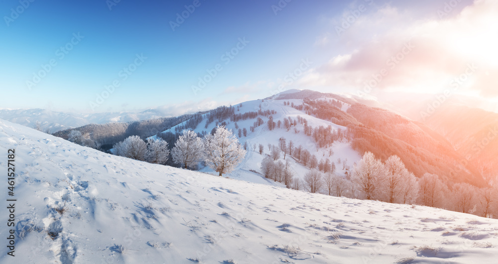 山谷中白雪皑皑的树木构成了令人惊叹的冬季景观。粉红色的日出天空在背景上闪闪发光