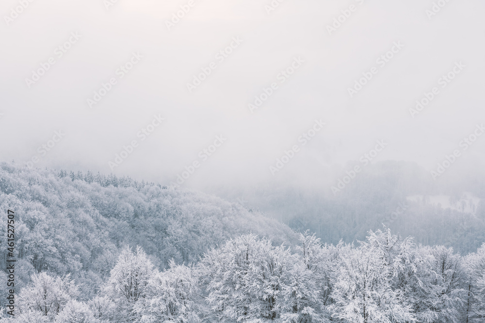 多云天气下的极简冬季景观，有雪的树木。喀尔巴阡山脉，景观ph