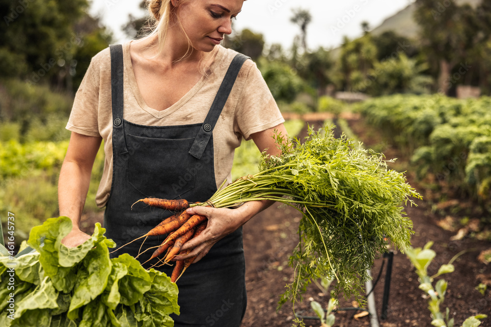 Young organic farmer holding freshly picked vegetables on her farm