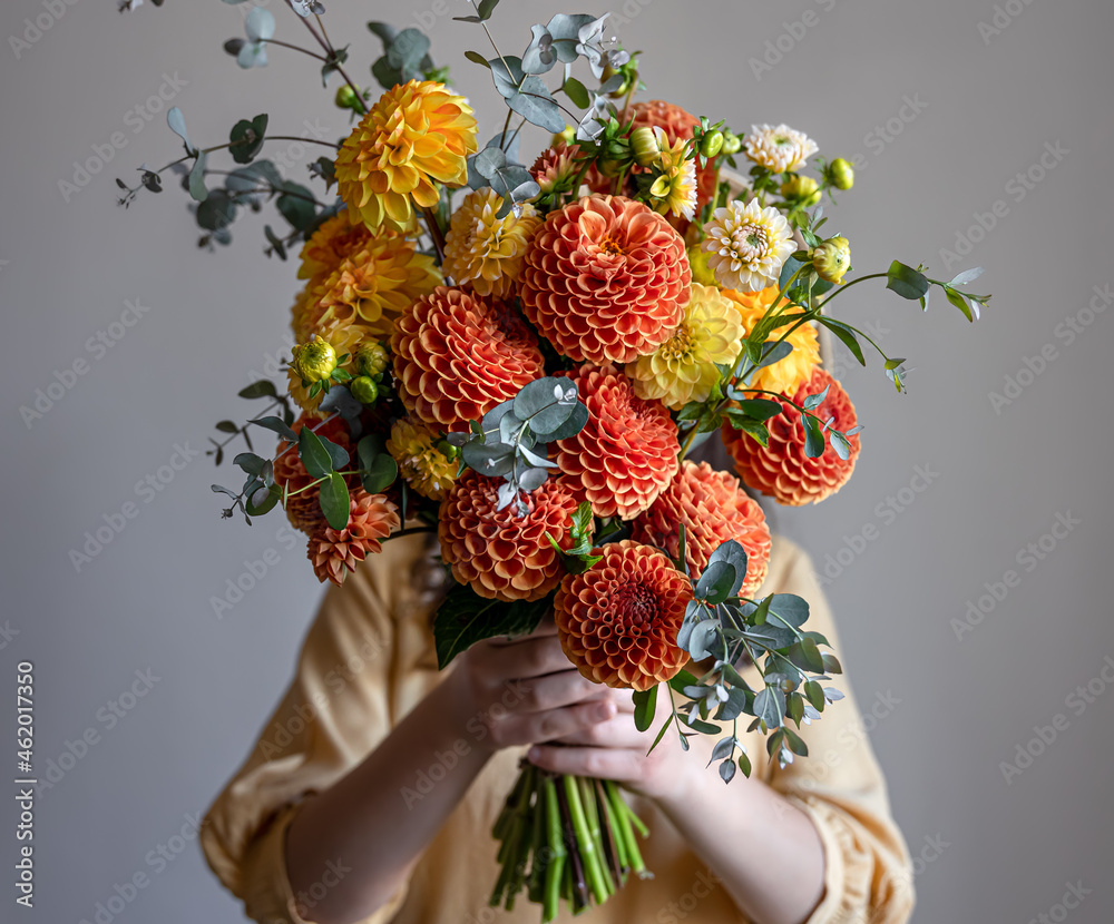 Bouquet of chrysanthemums in female hands on a gray background.