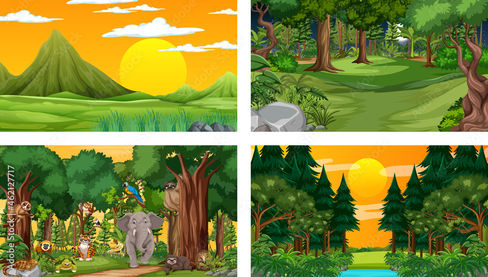 Different nature scenes of forest and rainforest with wild animals