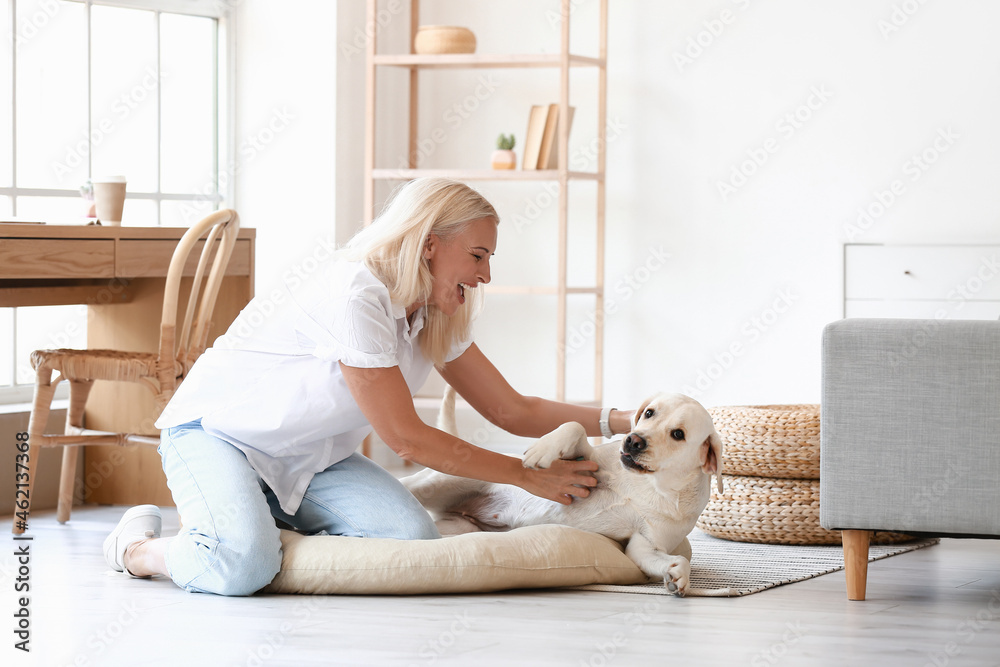 Mature woman having fun with cute Labrador dog at home