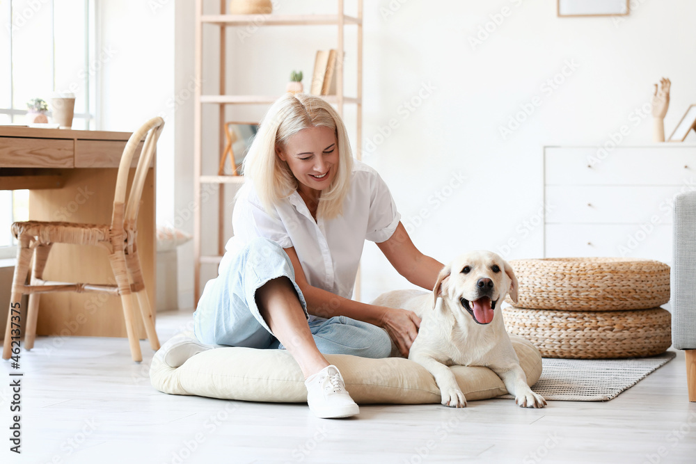 家里有可爱拉布拉多犬的成熟女人