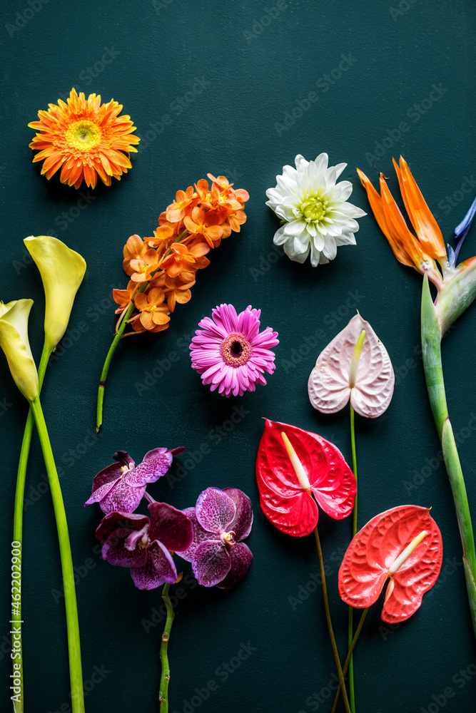 Colorful tropical flowers on black background