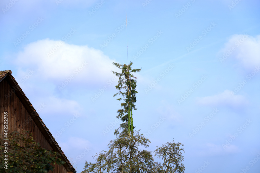 空中的树挂在一架运输直升机的绳索上，天空多云，背景是一名飞行员