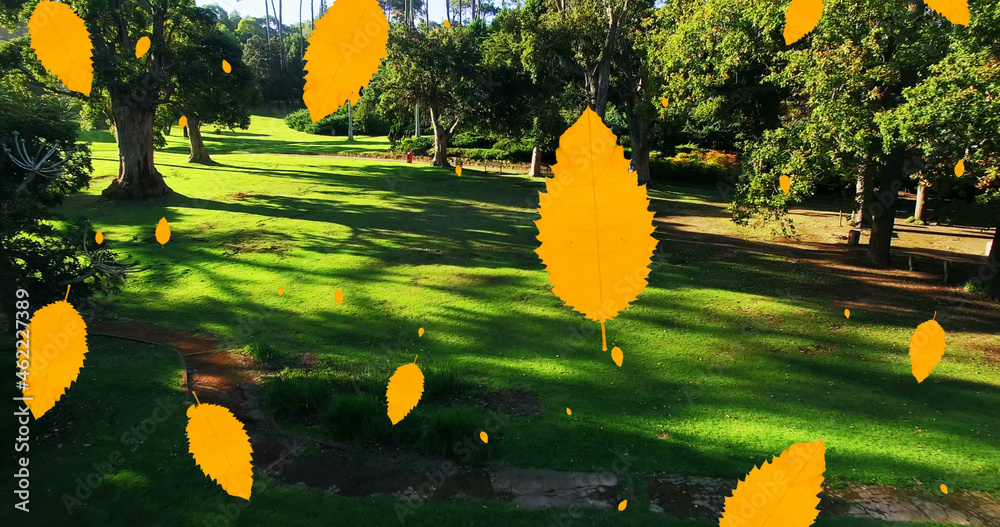 Digital composition of multiple autumn leaves icons falling against aerial view of the park