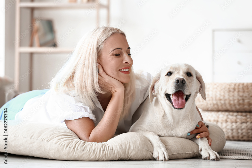 家里宠物床上躺着可爱拉布拉多犬的成熟女人