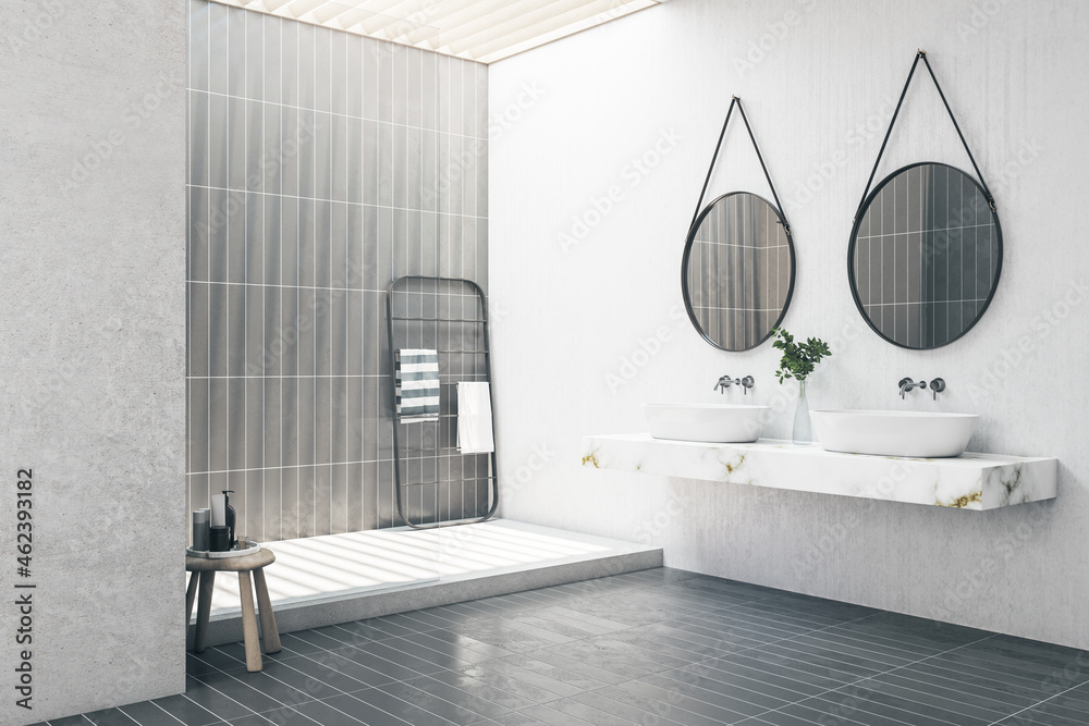 Contemporary bathroom interior with two mirrors, decorative plant, shower and other items. Lifestyle