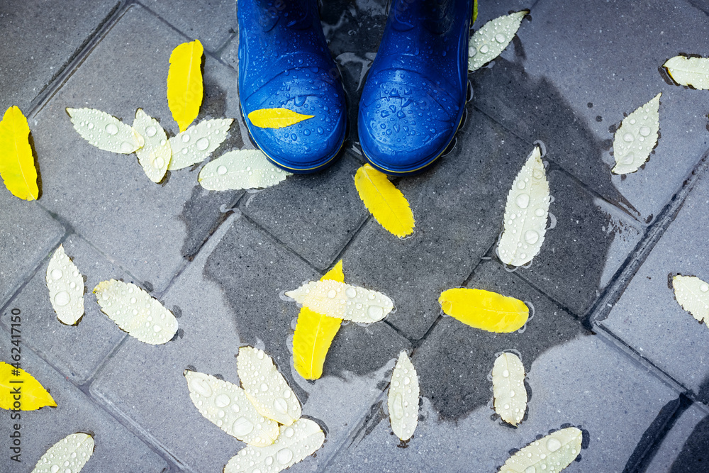 Feet in blue rubber boots standing in a wet concrete paving with autumn leaves in rain with umbrella