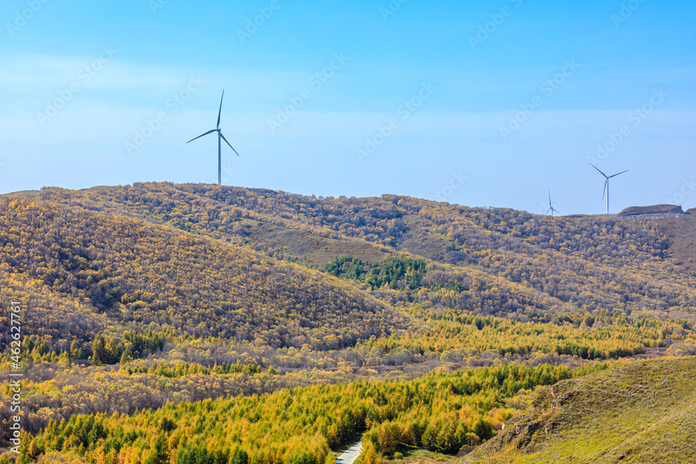 美丽多彩的秋色森林和山景。