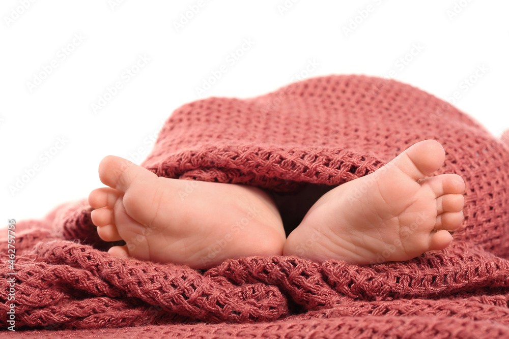 Adorable baby legs on white background