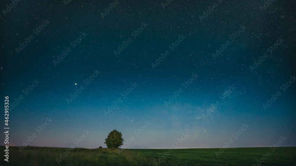 草地上孤独的树上的蓝色夜空。夏日乡村土地上的星星和树林