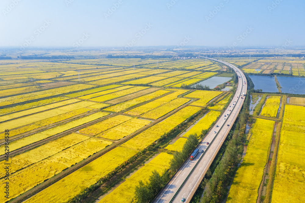 highway on autumn paddy fields