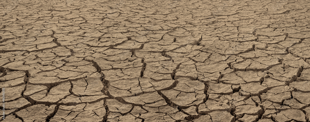 Cracked dried brown soil. Barren land texture, wide panorama with deep focus