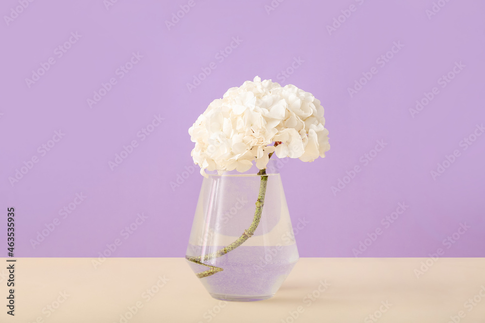 Glass vase with white hydrangea on table