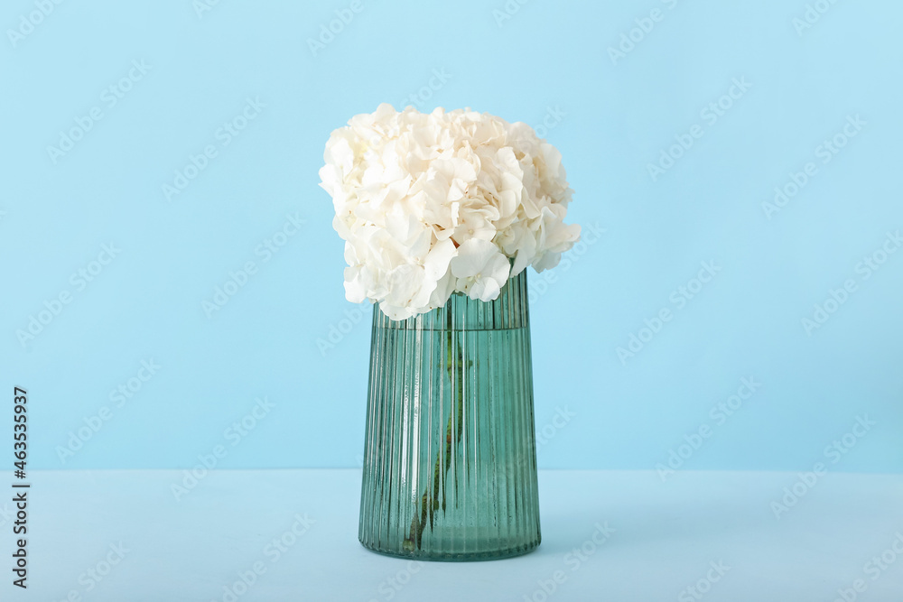 Stylish  vase with hydrangea on color background