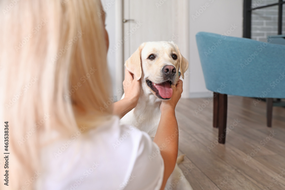 卧室里有可爱的拉布拉多犬的成熟女人