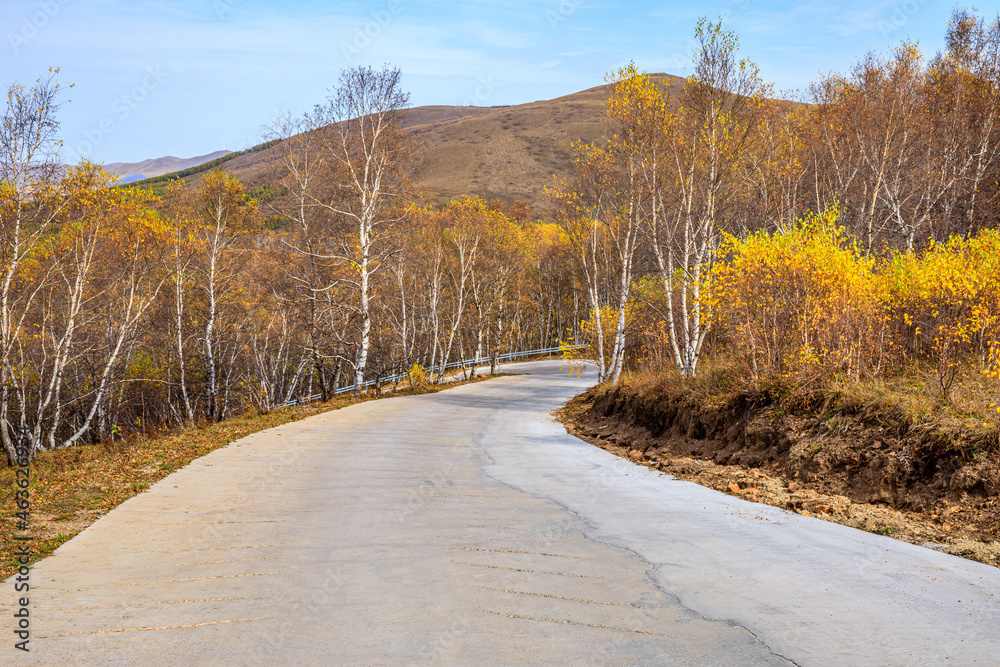 秋天空旷的道路和色彩缤纷的森林，山景尽收眼底。