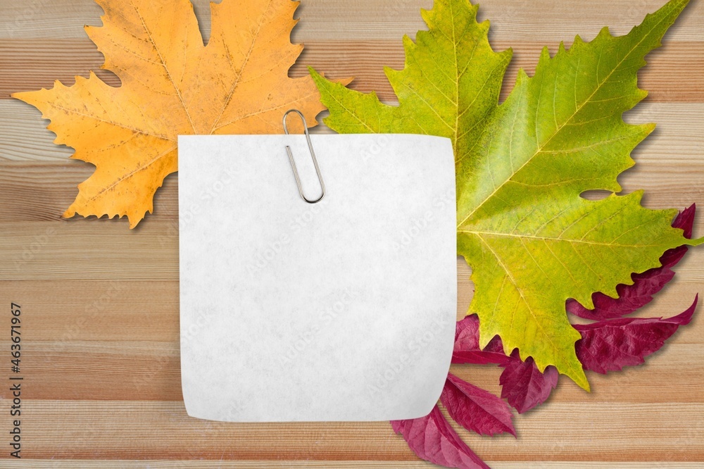 Cosmetic background with autumn leaves. Square and leaf