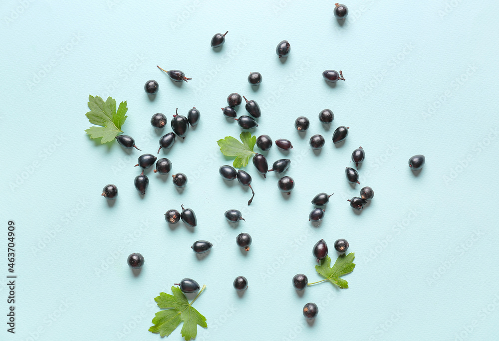 Sweet black currant on color background