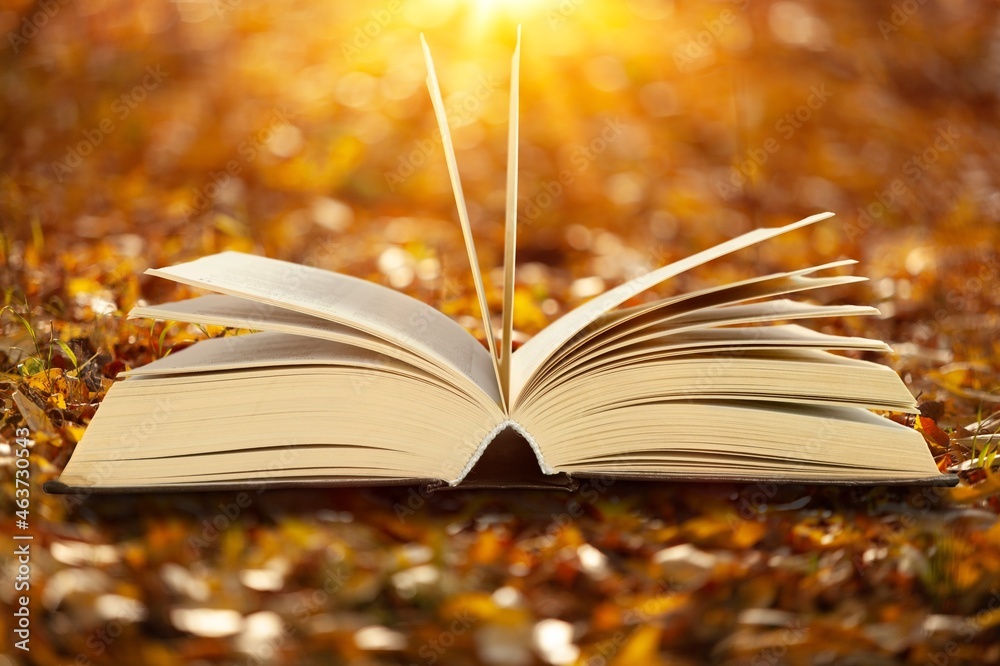 Open book on autumn park background with autumn fallen leaves on it.