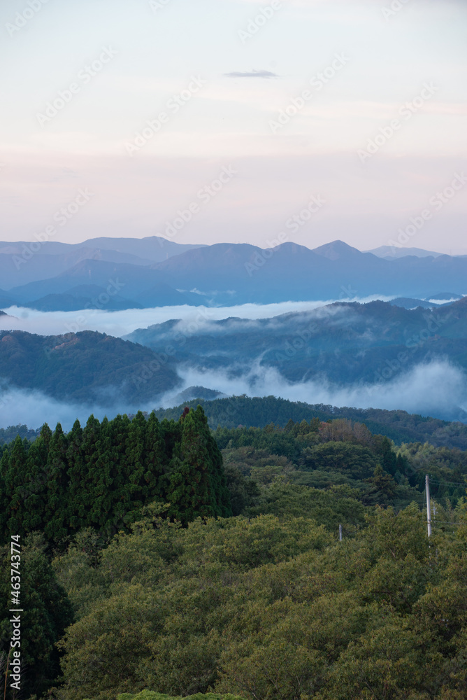 雲海