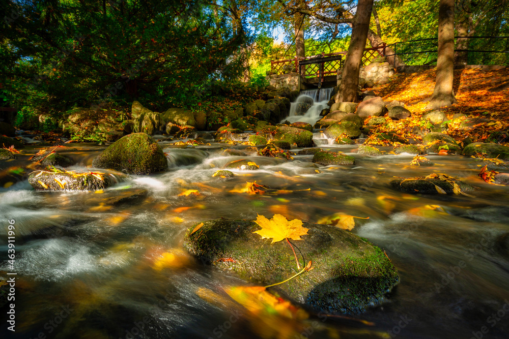 Autumn in the Oliwa Park of Gdansk, Poland