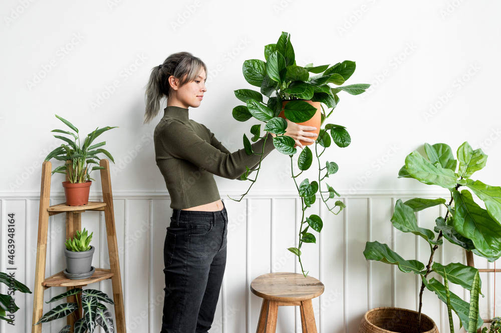 快乐的女人带着一株室内植物