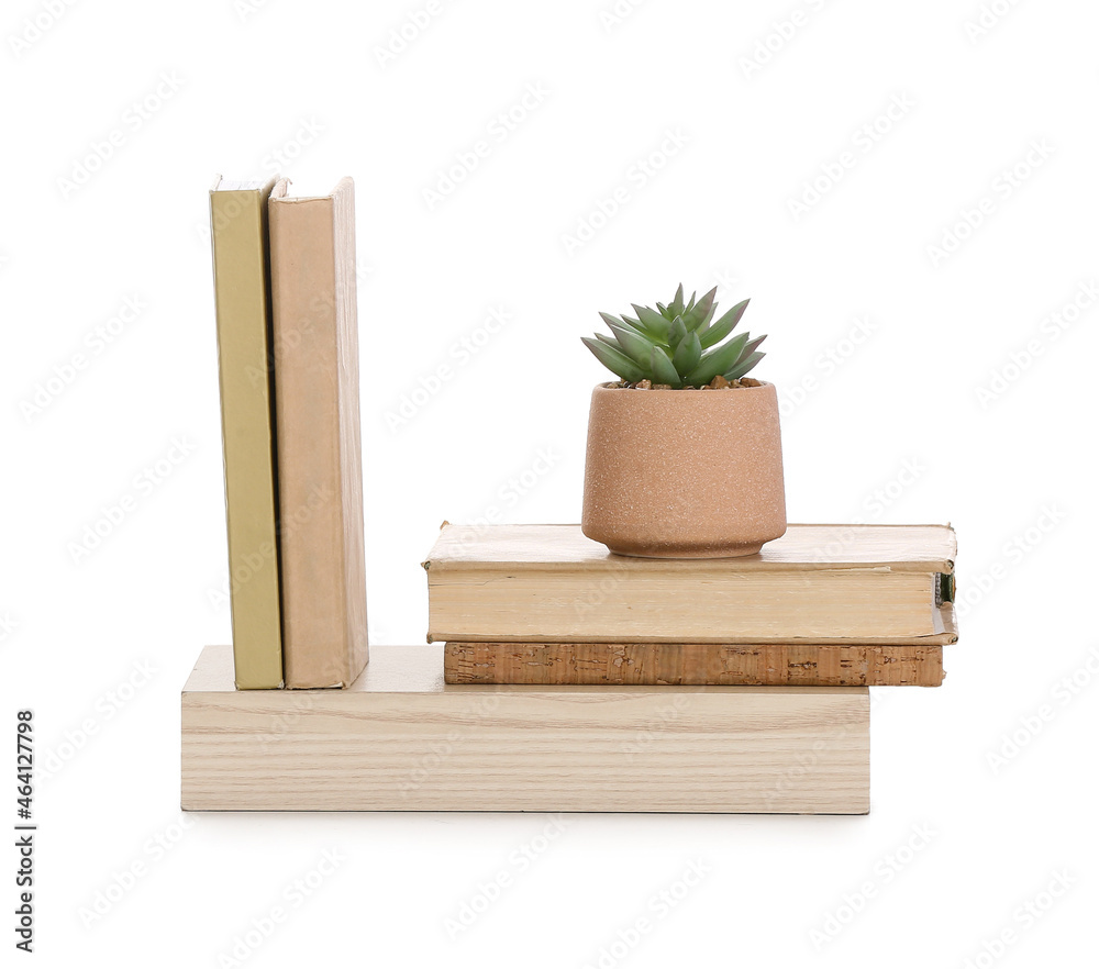 Small wooden shelf with books and flowerpot on white background