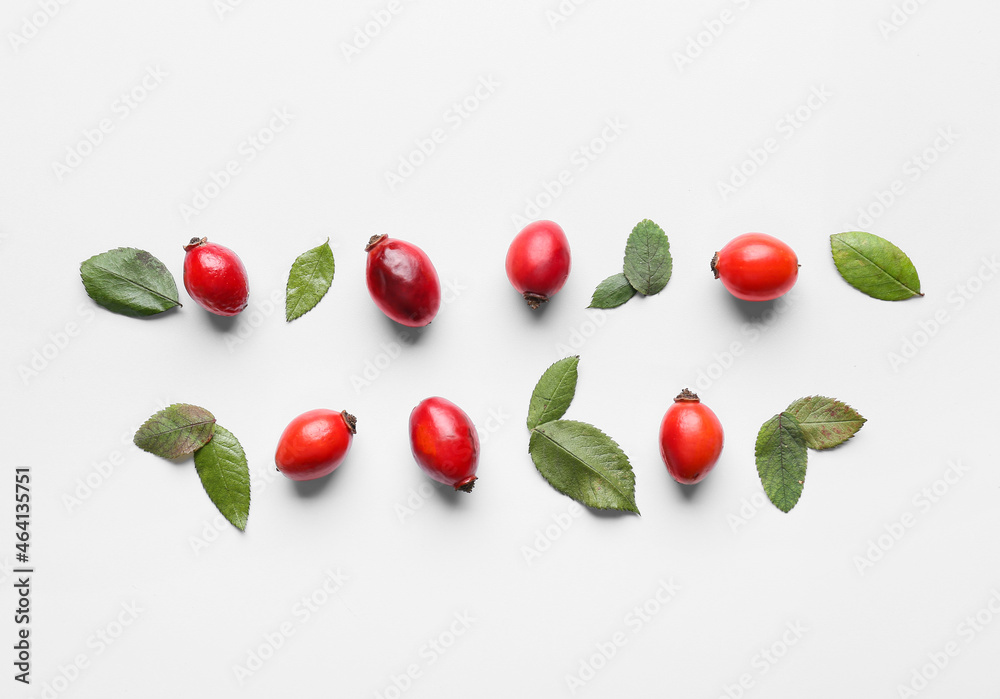 Composition with fresh rose hip berries and leaves on white background