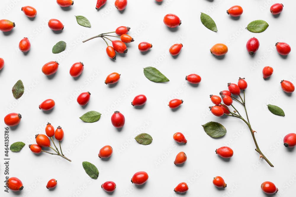 Composition with fresh rose hip berries and leaves on white background