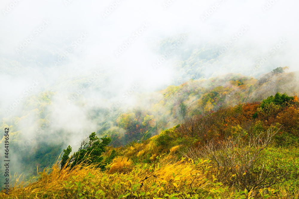 秋の雨飾山山頂