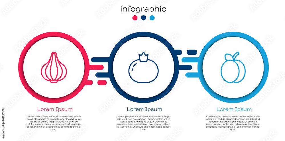 大蒜、番茄和李子系列产品。商业信息图模板。Vector