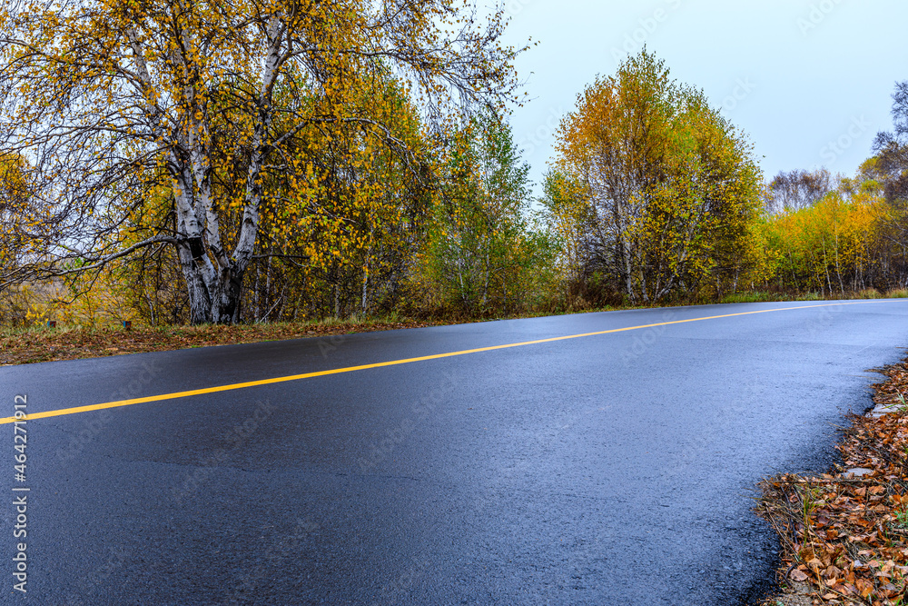 Asphalt road and autumn forest landscape on a cloudy day.Asphalt road and tree scene after rain.