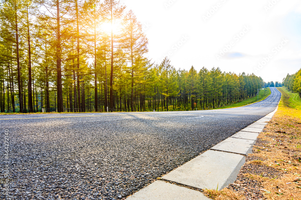 空旷的柏油路和森林景观。道路和树木背景。