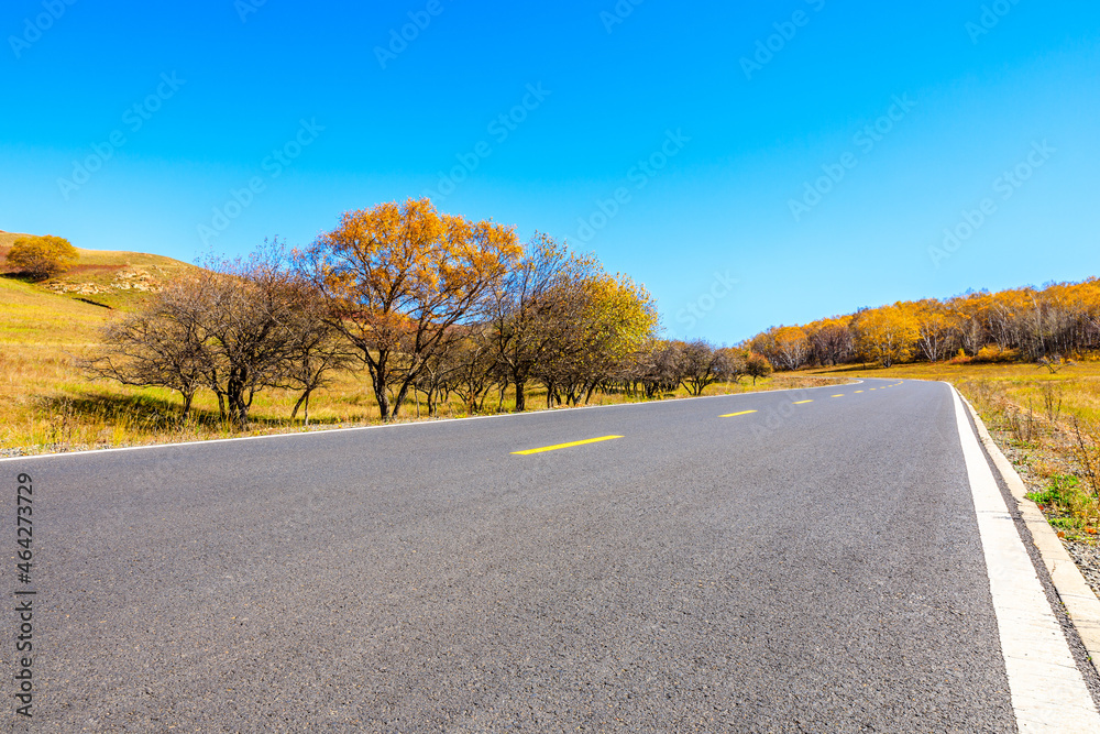 Empty asphalt road and autumn forest landscape.Road and trees background.