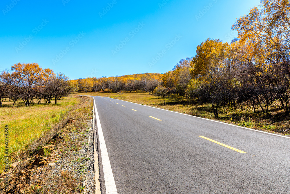 Empty asphalt road and autumn forest landscape.Road and trees background.