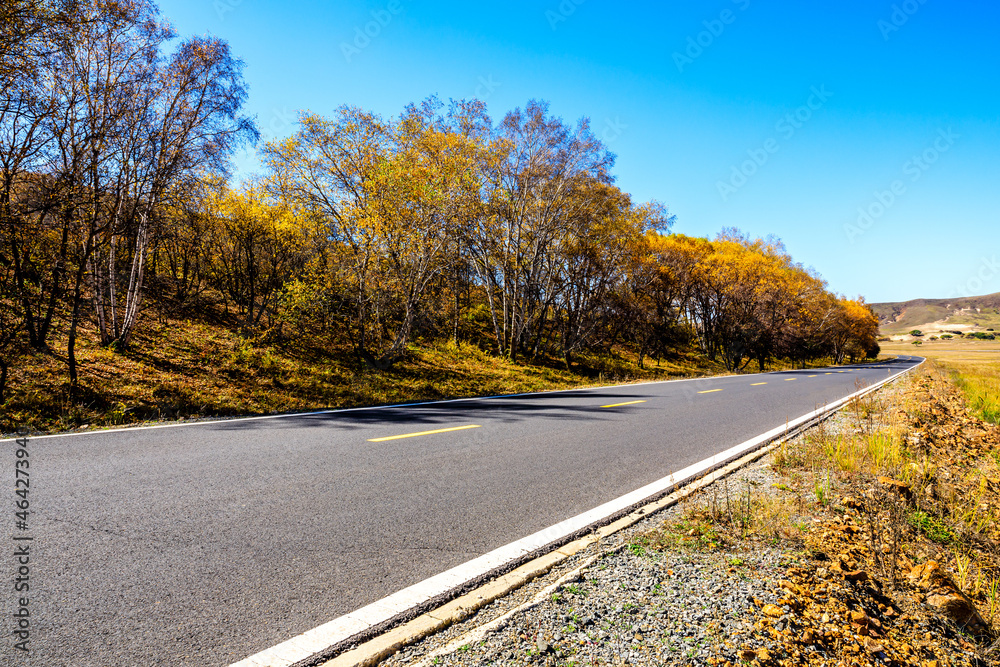 空旷的柏油路和秋天的森林景观。道路和树木背景。