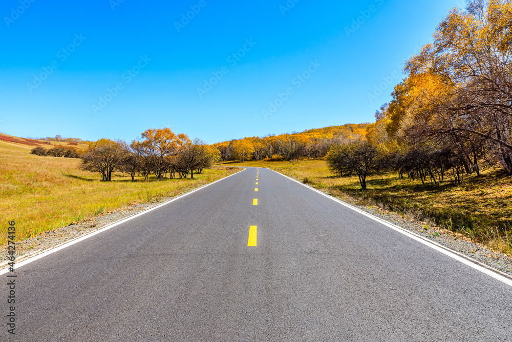 空旷的柏油路和秋天的森林景观。道路和树木背景。