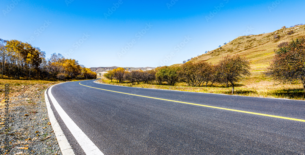 空旷的柏油路和秋天的森林景观。道路和树木背景。