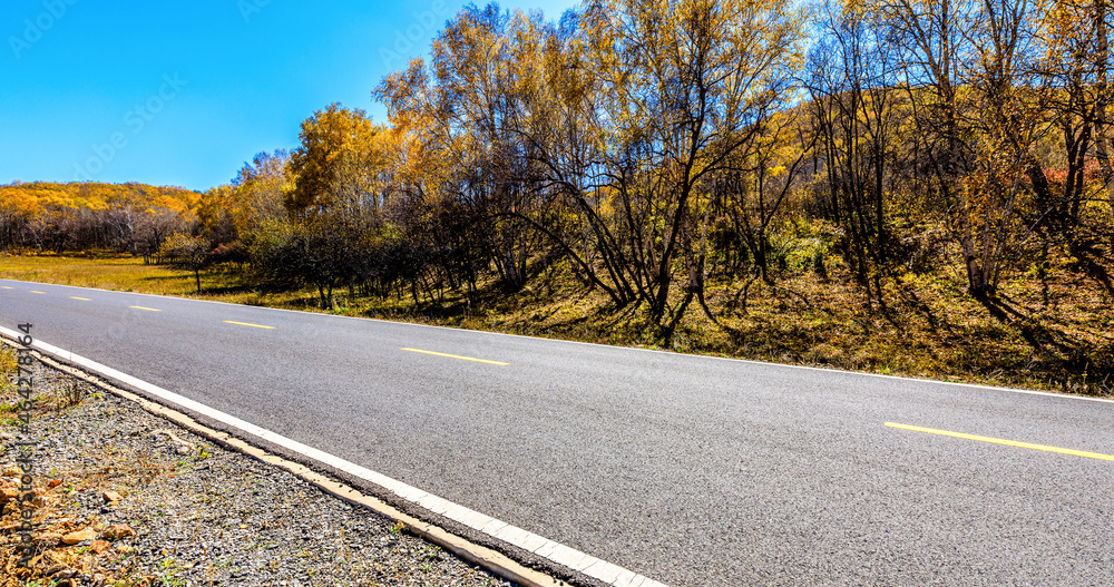 Empty asphalt road and autumn forest landscape.Road and trees background.