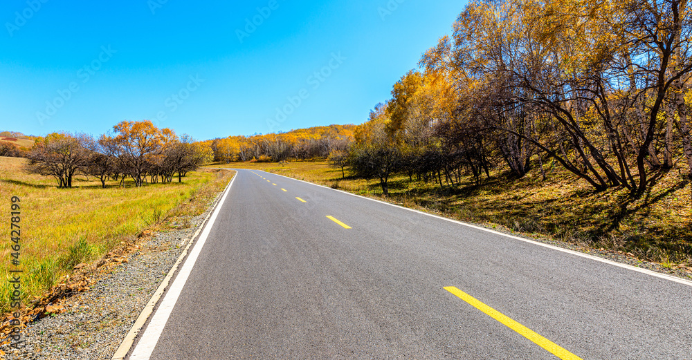 空旷的柏油路和秋天的森林景观。道路和树木背景。