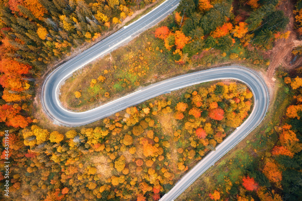 Aerial view of winding road in colorful forest at sunset in autumn. Top view from drone of mountain 