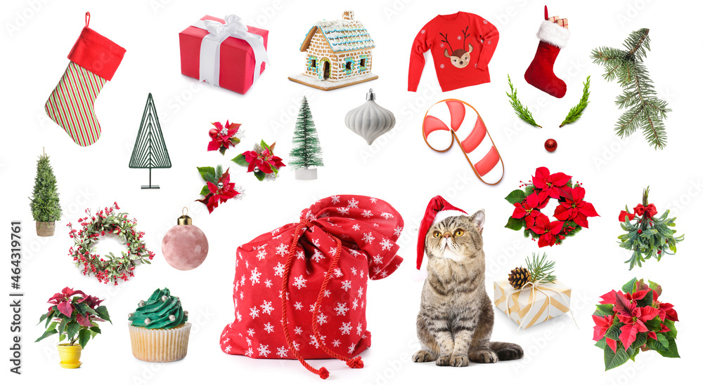 Christmas collage with cute cat and Santa bag on white background