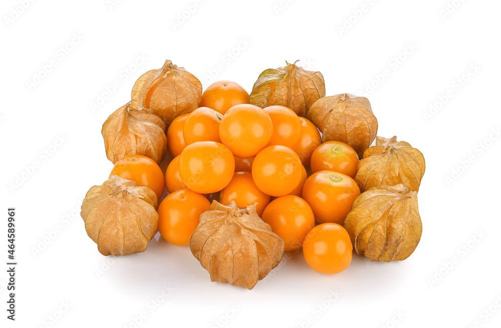 在白色背景上分离的鹅莓角（physalis）。