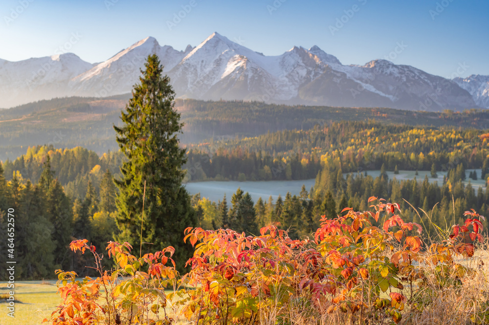 高山景观，塔特拉山脉全景，从波兰拉普赞卡山口（Lapszanka pass）和希尔（Sl）看到的多彩秋景