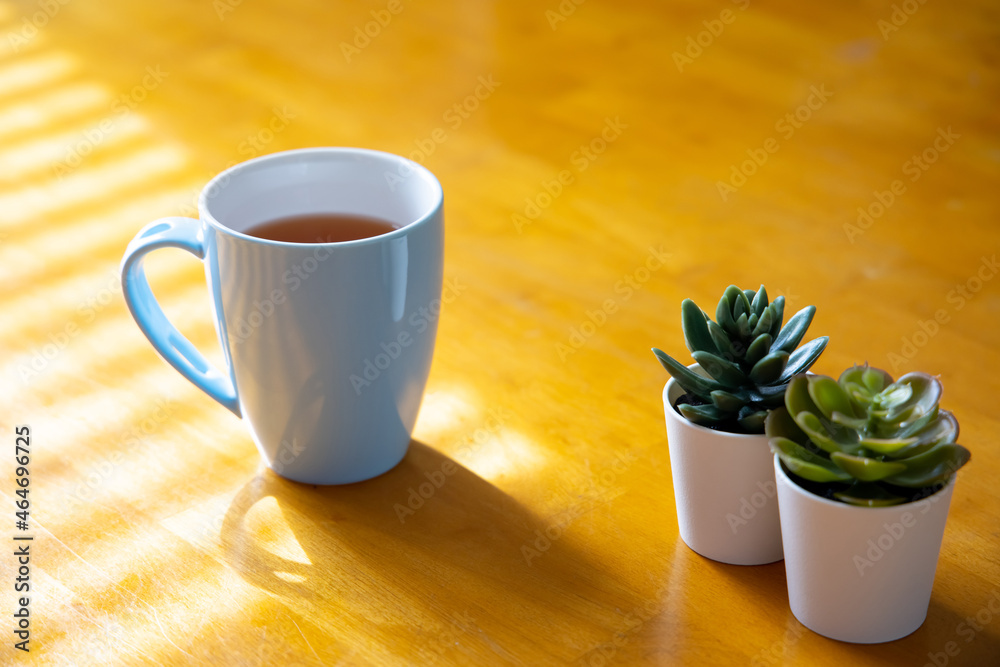 咖啡杯和植物