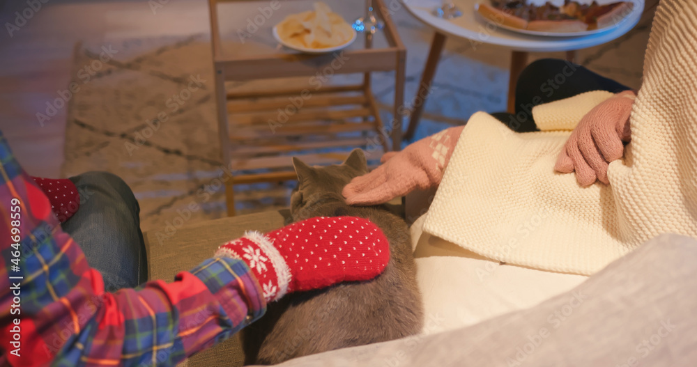 couple petting their cat home