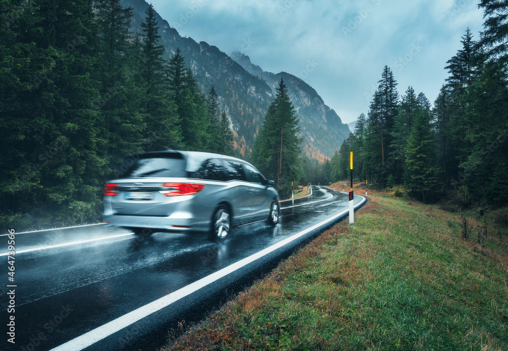 雨中秋林道路上行驶的模糊汽车