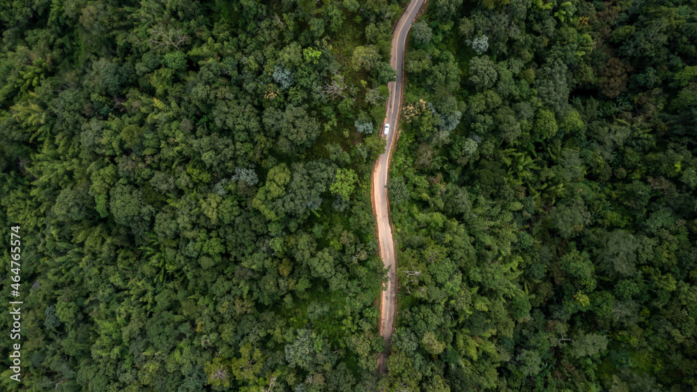 Aerial top view rural road in the forest, dirt road or mud road and rain forest, Aerial view road in